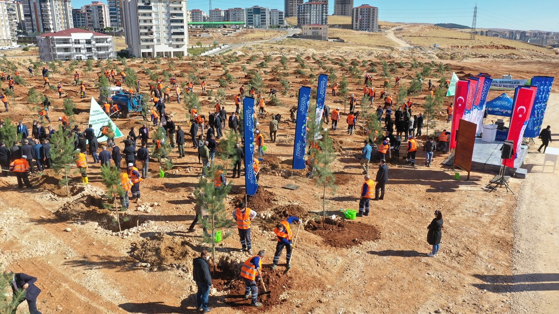 FISTIKLIK MAHALLESİ, BİNLERCE AĞAÇLA YEŞİLE BÜRÜNECEK